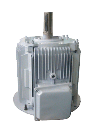 10kw 250rpm Vertical PMG Alternator