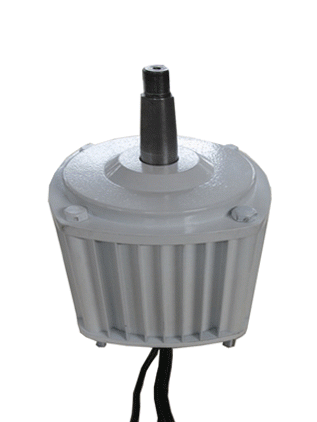 500w Permanent Magnet Alternator